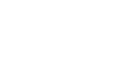 Zank Car Claner